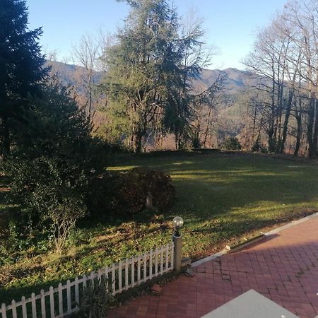 Le Camelie Villa Polverara ภายนอก รูปภาพ