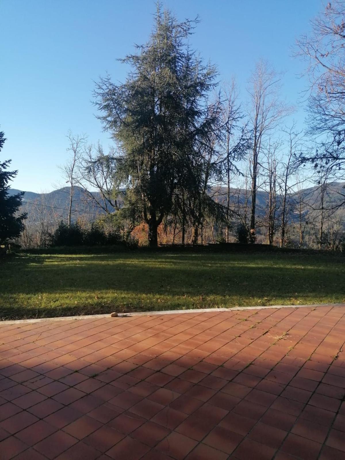 Le Camelie Villa Polverara ภายนอก รูปภาพ