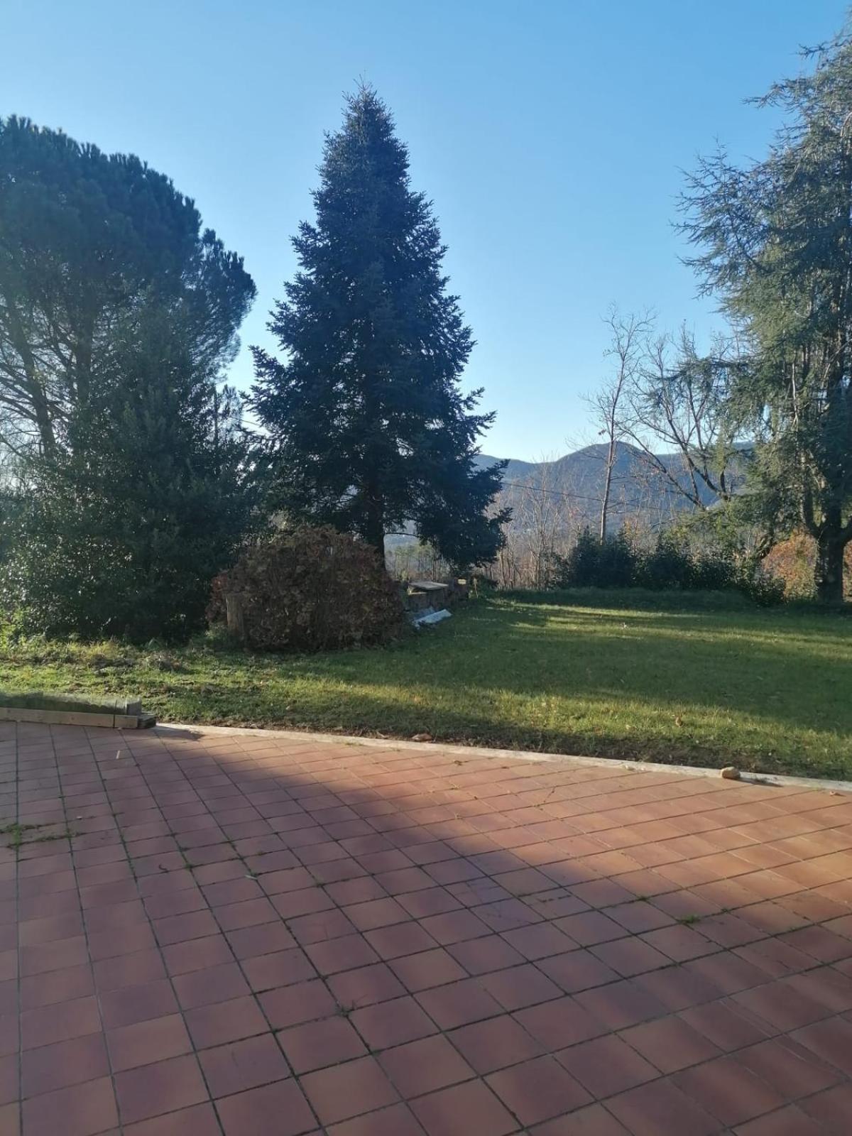 Le Camelie Villa Polverara ภายนอก รูปภาพ